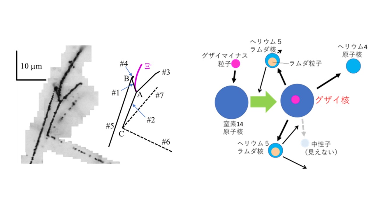 「グザイ核」の内部構造、ついに観測成功