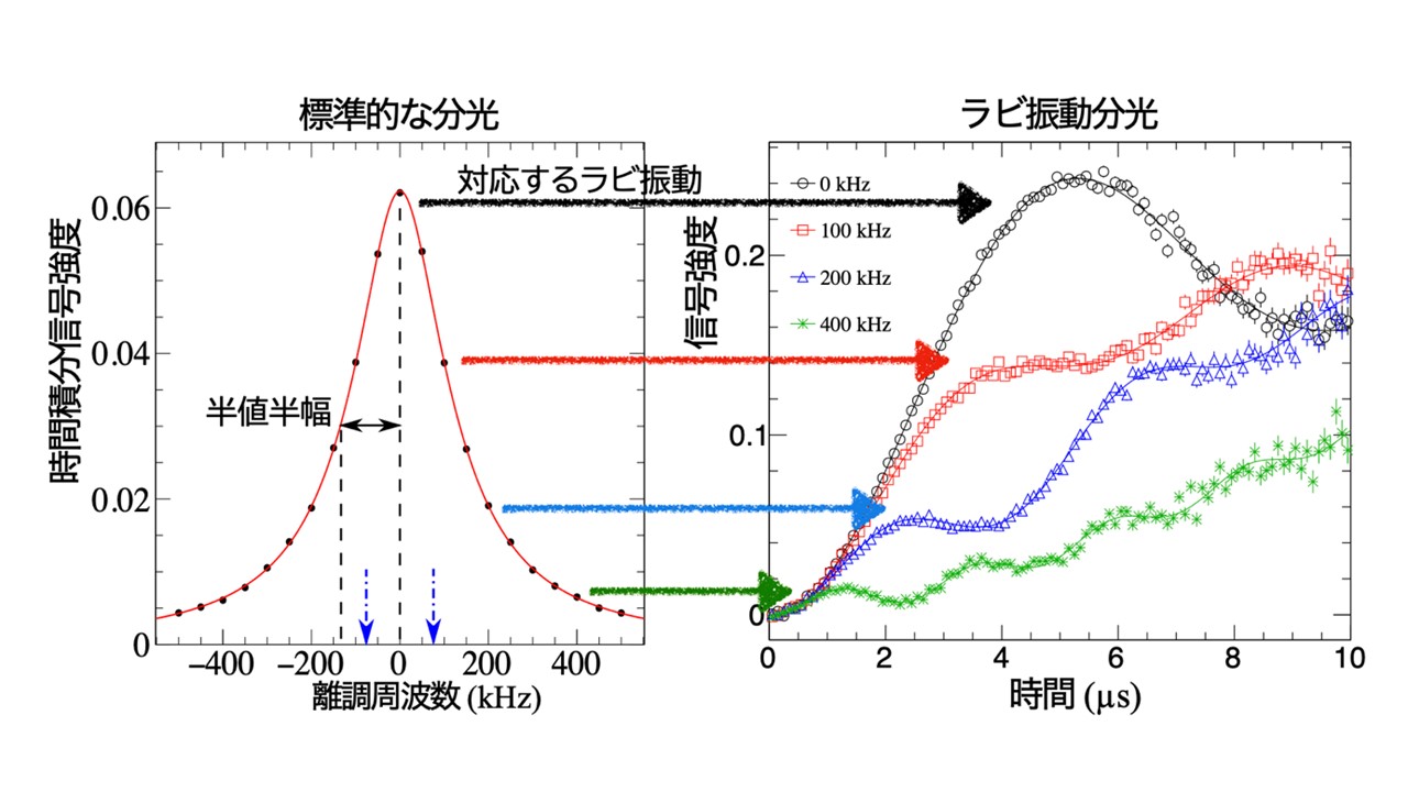 逆転の発想「ラビ振動分光」でミュオニウム原子を精密に測定