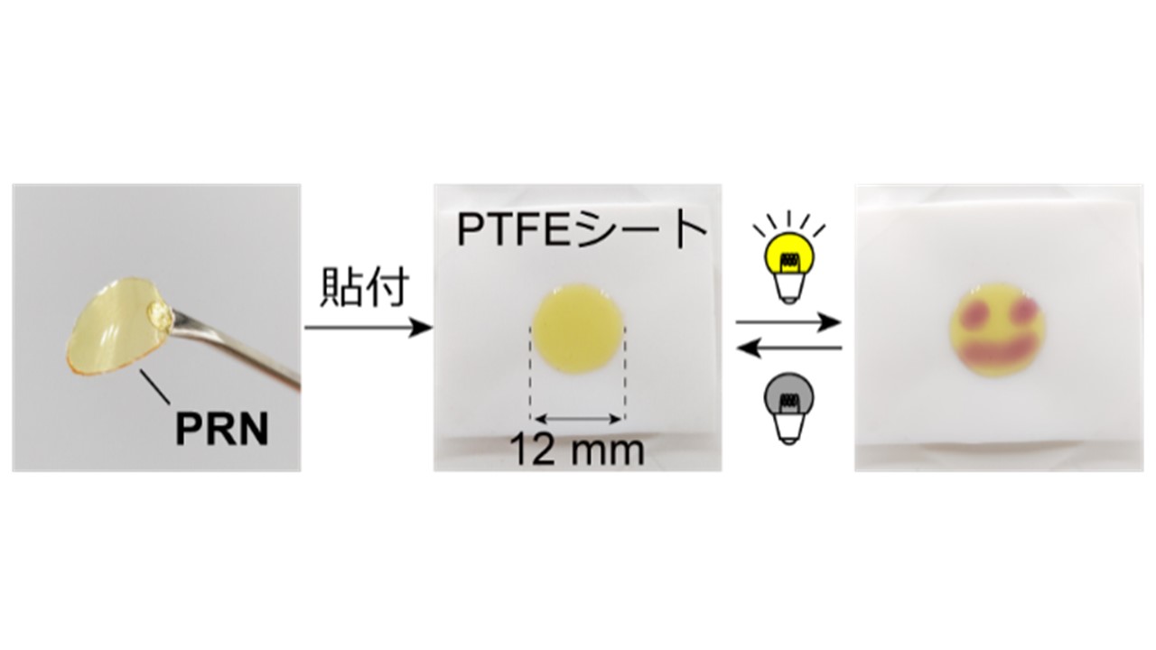 遠隔的に剥離・解体可能な光応答性エラストマーの開発