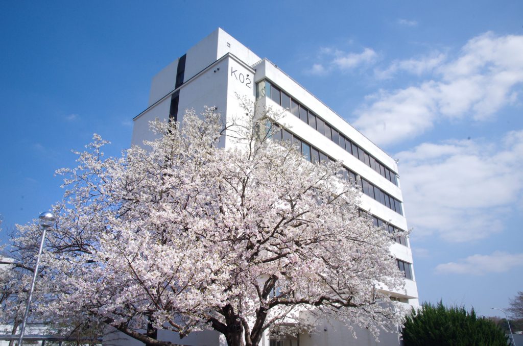 KEK2号館の桜（2021/3/24）撮影：荒岡修