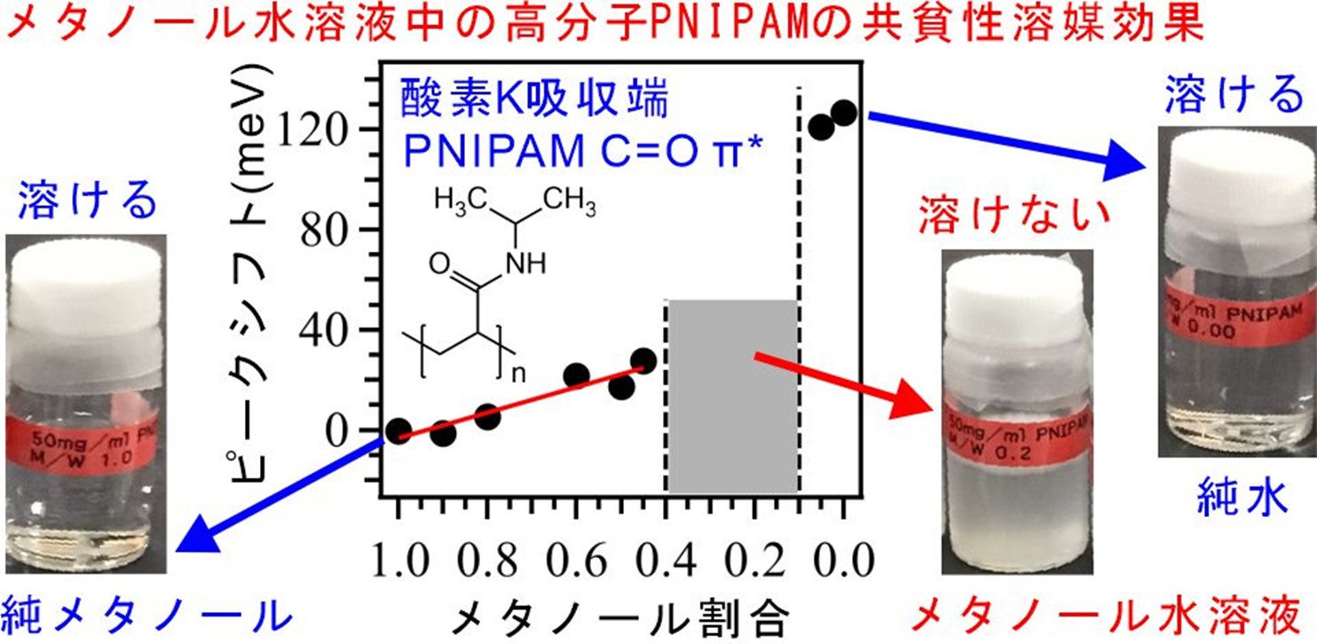 メタノール水溶液中の高分子PNIPAMの酸素K吸収端XAS計測の結果