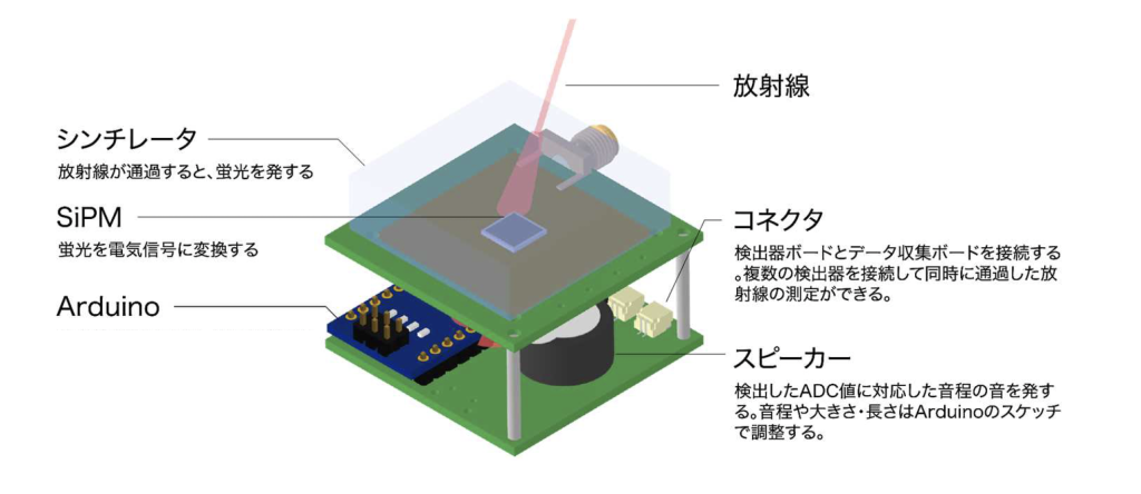 加速キッチンが制作した音で学ぶ粒子センサーの模式図。放射線がシンチレータを通ると蛍光を発し、その光を電気信号に変換し処理する。検出した電気信号の大きさに応じて音を発する。